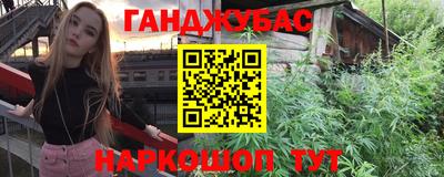 apvp Камышлов