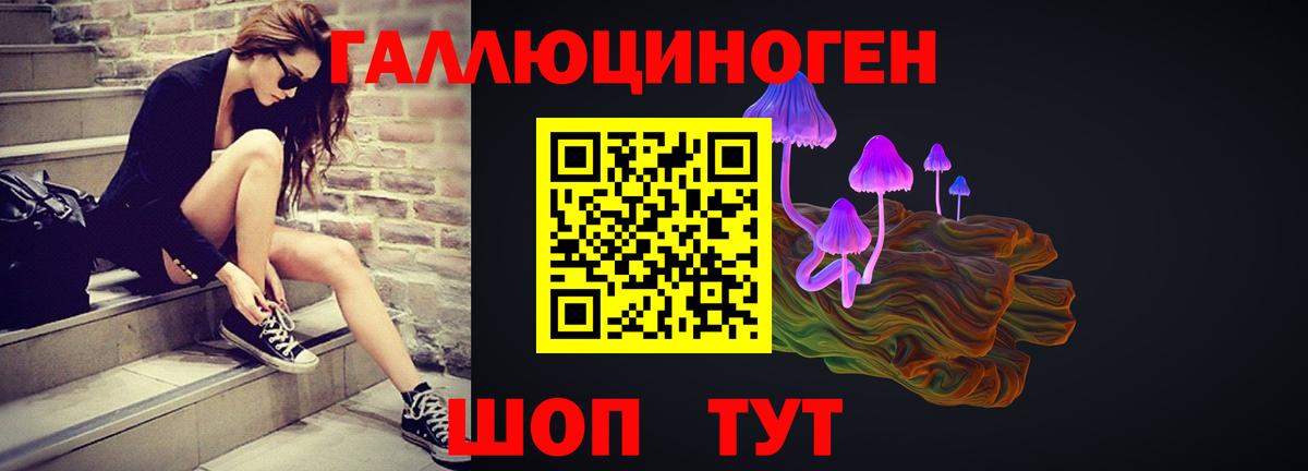 Курчатов  Галлюциногенные грибы Magic Shrooms  Псилоцибиновые грибы Magic Shrooms  Вход с VPN 