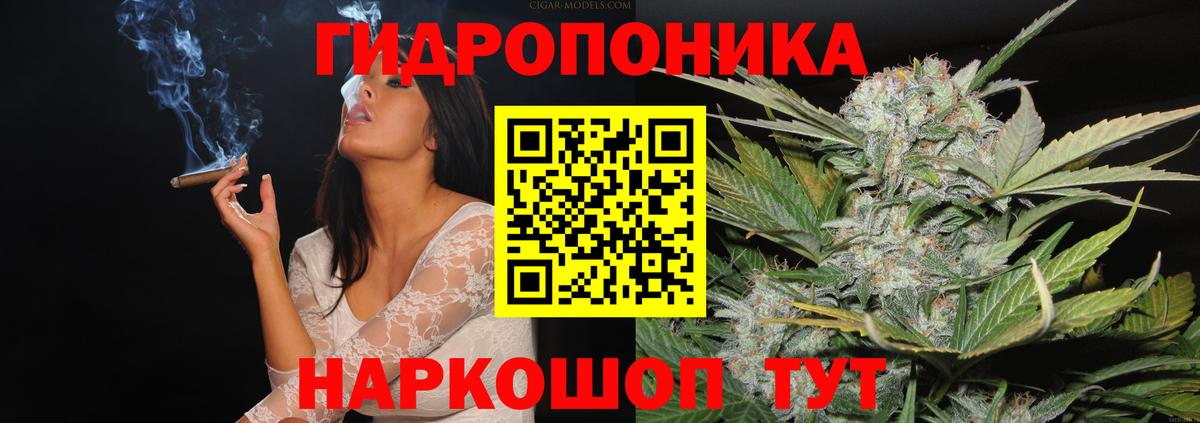 Конопля семена Курчатов